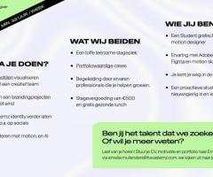 Stagiair Design (grafisch ontwerper) bij HAVASLEMZ